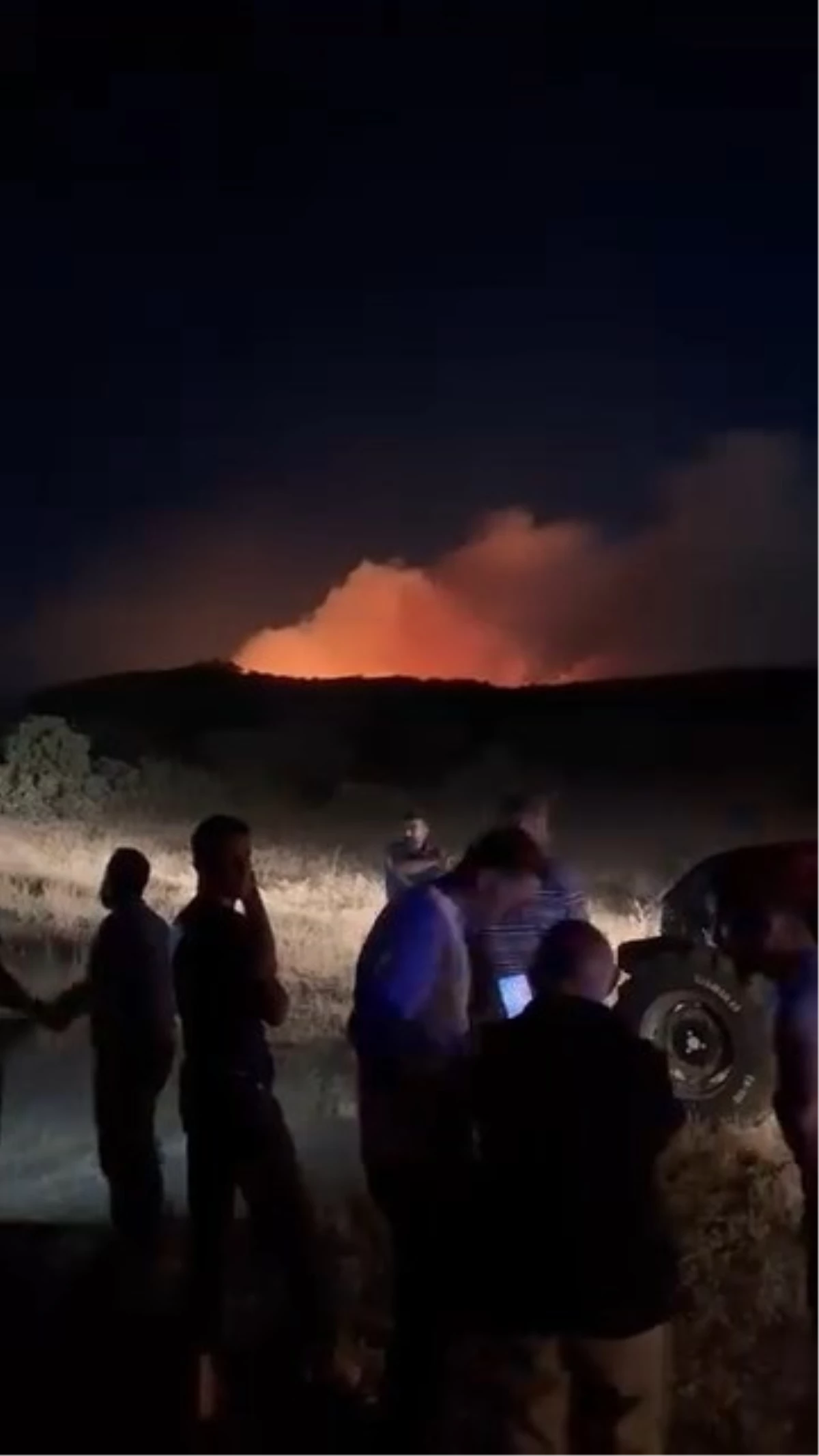 Elazığ’da Orman Yakınındaki Örtü Yangını Söndürüldü