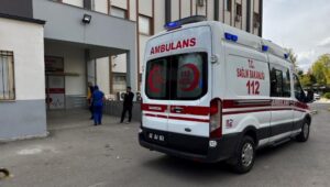 yolun karsisina gecerken can verdi 8nKTSICE.jpg